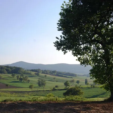 Bilocale Umbria Apartment Montecastrilli