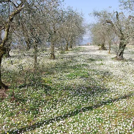 Bilocale Umbria Apartman Montecastrilli