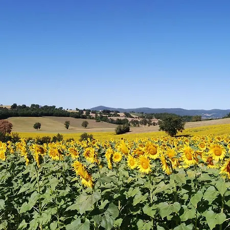 Bilocale Umbria